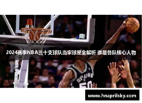 2024赛季NBA三十支球队当家球星全解析 谁是各队核心人物